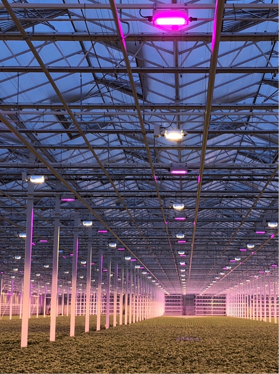 Horticulture solution