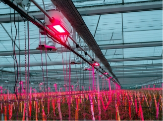 Horticulture solution